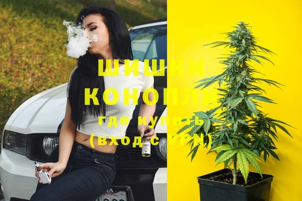 ешки Верхний Тагил