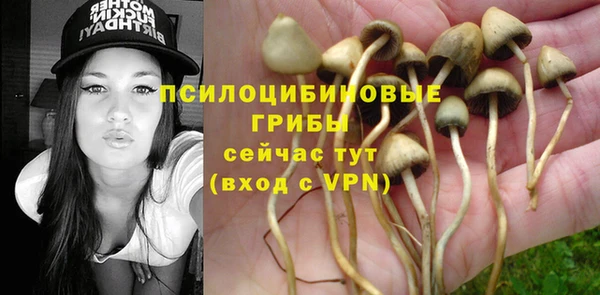 ешки Верхний Тагил