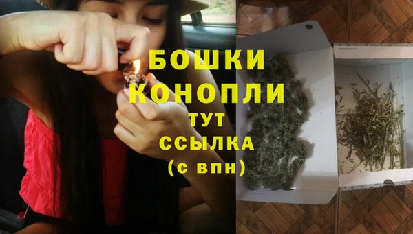 ешки Верхний Тагил