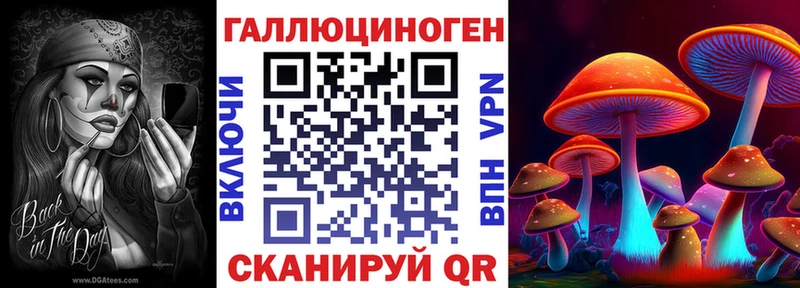 Псилоцибиновые грибы прущие грибы  Стерлитамак 